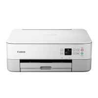 Canon TS5365 Printer Ink Cartridges